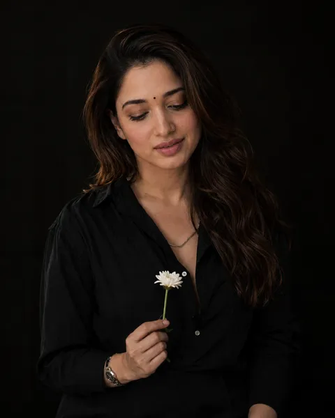 The White Flower In Darkness